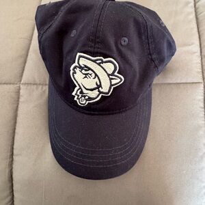 El Paso chihuahuas alternate colors hat-OSFA